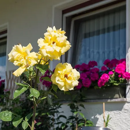 Guesthouse Pension Grafenstein Hotel