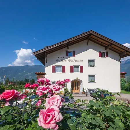 Hotel Guesthouse Pension Grafenstein 3*