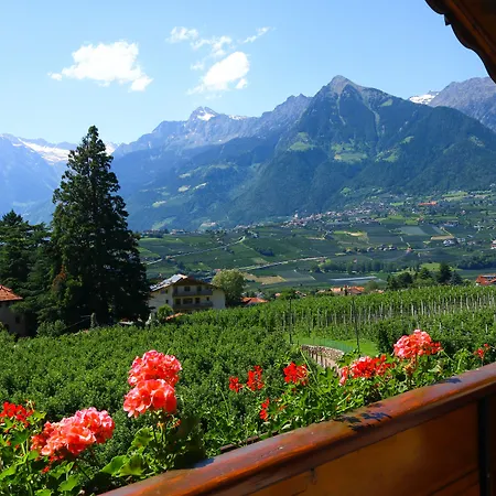 Guesthouse Pension Grafenstein 3*