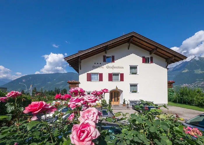 Hotel Grafenstein 3*