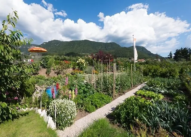 Guesthouse Pension Grafenstein 3*